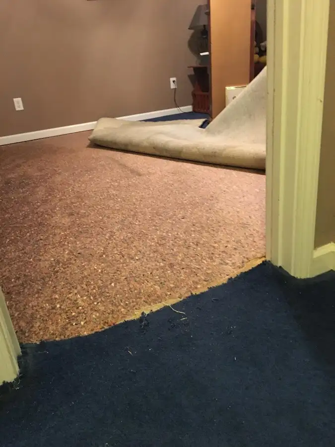 Carpet pad removal revealing water damage during Drying & Dehumidification in Wyoming